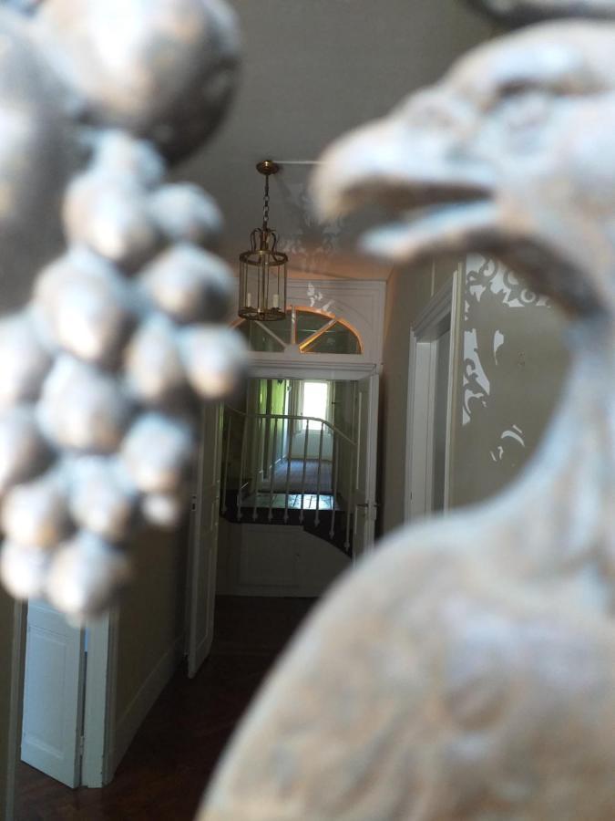 Le Jardin Secret Bed & Breakfast แซ็ง-ต็องโตแน็ง ภายนอก รูปภาพ